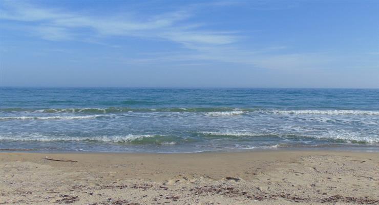 коронавирус не опасен при купании в море