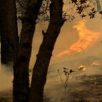 Пожежа на Пелопоннесі ще не загашена