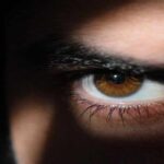 Австрия высылает российского дипломата за шпионаж