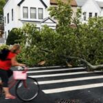 Тропический шторм Лаура перерос в ураган над Мексиканским заливом Тропический шторм Лаура перерос в ураган над Мексиканским заливом