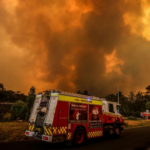 Австралія бореться з першою великою лісовою пожежею в сезоні