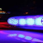 Убийство пятерых детей в Германии