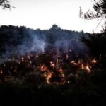 Пожары вспыхнули в лагере беженцев Мория на греческом острове Лесбос