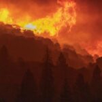 Щонайменше дев'ять людей загинули в результаті лісових пожеж на заході США Щонайменше дев'ять людей загинули в результаті лісових пожеж на заході США