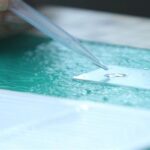 Вчені виявили справжнього вбивцю коронавіруса Вчені виявили справжнього вбивцю коронавіруса