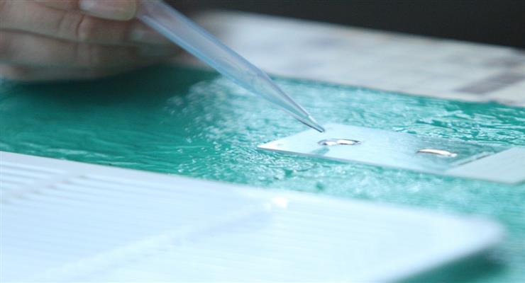 вчені подарували світові ще одну надію на перемогу над коронавірусом