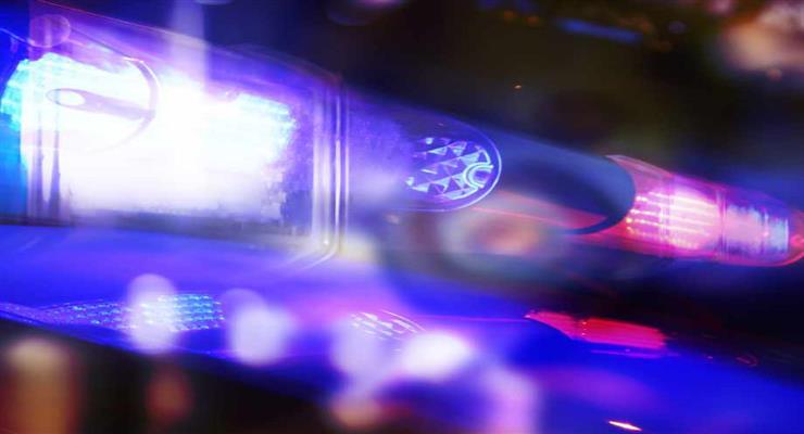 деякі поліцейські підозрюються в неонацизме