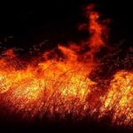 Три людини загинули в великій пожежі