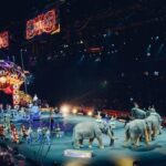 Франция собирается запретить использование диких животных в передвижных цирках Франция собирается запретить использование диких животных в передвижных цирках