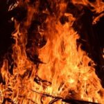 9 людей стали жертвами лісових пожеж в Україні 9 людей стали жертвами лісових пожеж в Україні