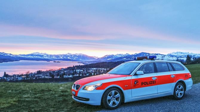 конфискована картина Ренуара