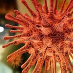 10 000 волонтеров протестировали российскую вакцину против COVID-19 «Спутник В» 10 000 волонтеров протестировали российскую вакцину против COVID-19 «Спутник В»