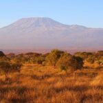 Туристов с Килиманджаро эвакуируют из-за лесного пожара