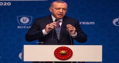 ЄК: бойкот Туреччиною французьких товарів віддаляє її від ЄС бойкот відсуває Туреччину від ЄС