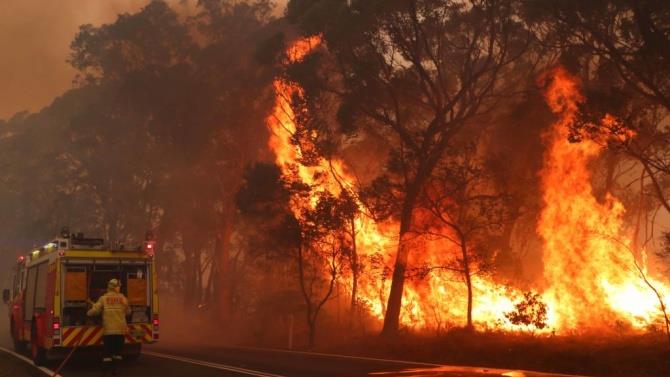 пожежі через рекордну спеку