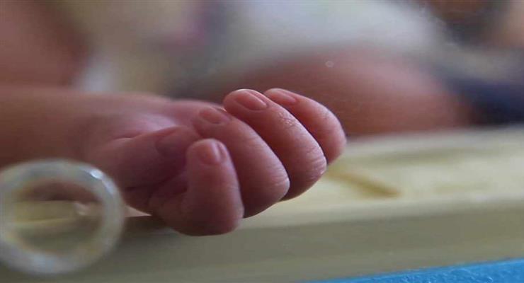 зниження народжуваності через коронавіруса