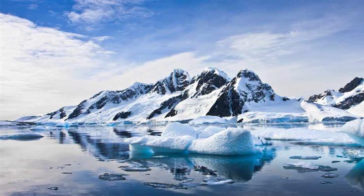 гаманець знайшов власника