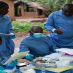 Гвінея оголосила про епідемію еболи Гвінея оголосила про епідемію еболи