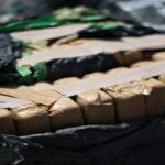 Європейський рекорд: митники виявили в Гамбурзі більше 60 тонн кокаїну (ВІДЕО)