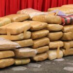 У Сінгапурі було вилучено найбільшу кількість марихуани за 25 років У Сінгапурі було вилучено найбільшу кількість марихуани за 25 років