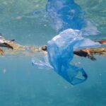 Грінпіс: Туреччина стає найбільшим звалищем пластика в Європі Грінпіс: Туреччина стає найбільшим звалищем пластика в Європі