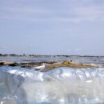 Туреччина заборонила імпорт пластикових відходів