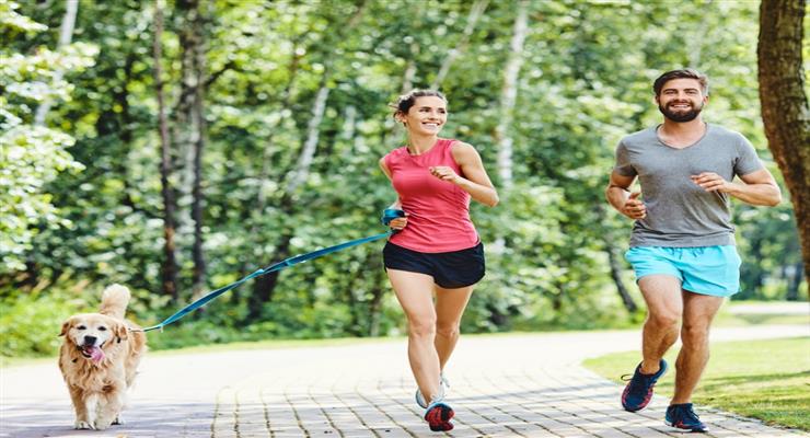 гіподинамія - причина багатьох хвороб