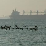 Найбільший військовий корабель Ірану затонув після пожежі в Оманській затоці