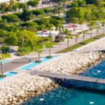 Аніта Дімітріу - новий спікер парламенту Кіпру Аніта Дімітріу - новий спікер парламенту Кіпру