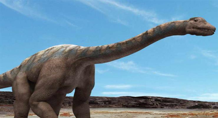 яйцо динозавра