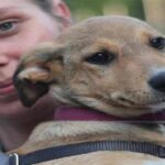 На год запретили ввоз собак в США На год запретили ввоз собак в США