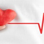 Французская компания совершила первую продажу искусственного сердца