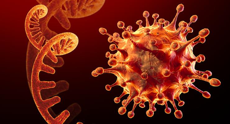 в ПАР виявили новий варіант коронавируса, більш небезпечний і стійкий