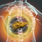 ВОЗ рекомендует резко повысить акциз на алкоголь в Европе для борьбы с раком ВОЗ рекомендует резко повысить акциз на алкоголь в Европе для борьбы с раком