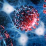 Новий штам коронавірусу з Африки стурбував вчених Новий штам коронавірусу з Африки стурбував вчених