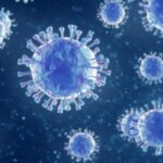 ВООЗ стурбована "безпрецедентною" швидкістю поширення Omicron ВООЗ стурбована "безпрецедентною" швидкістю поширення Omicron