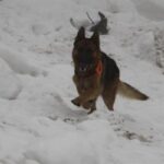 В Южной Осетии в результате схода лавины погиб российский военный В Южной Осетии в результате схода лавины погиб российский военный