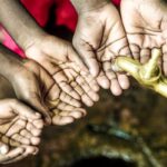 Сомали, Кения и Эфиопия обращаются за экстренной гуманитарной помощью Сомали, Кения и Эфиопия обращаются за экстренной гуманитарной помощью