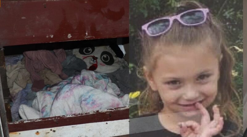 Зниклу в США дівчинку знайшли живою через 3 роки, замкненою під сходами