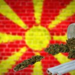 Марихуана — самый популярный наркотик в Республике Македония