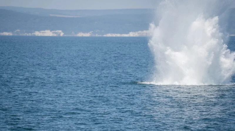 Румунські військові знищили плавучу міну біля узбережжя Чорного моря