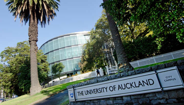 Університет Окленда