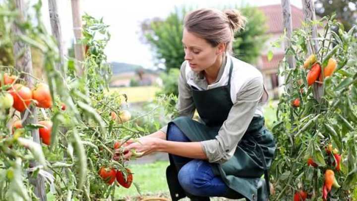 Сезонная работа фото