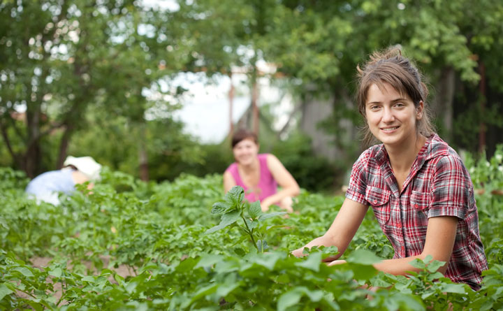Сезонный работник фото
