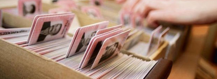 официальное трудоустройство