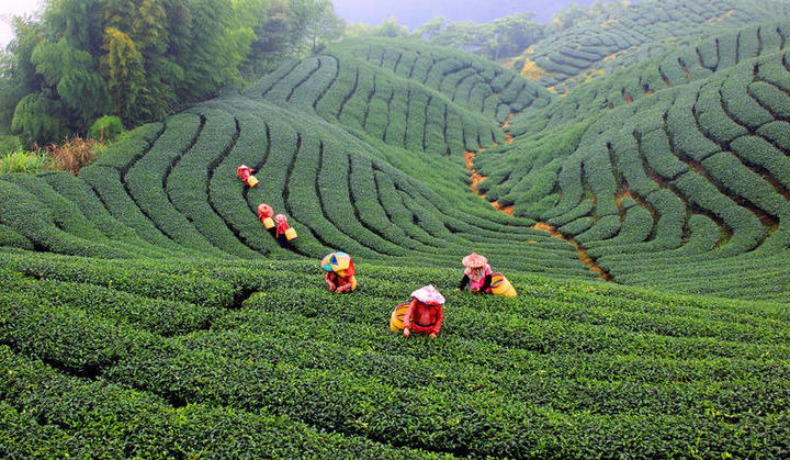 робота в Тайвані