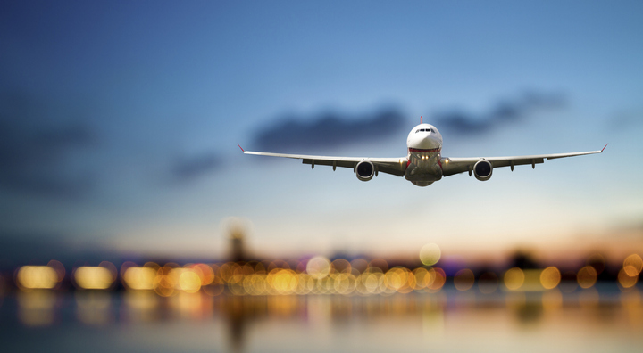 v-ukraine-poyavitsya-novyy-nacionalnyy-loukoster-ukraine-united-airlines